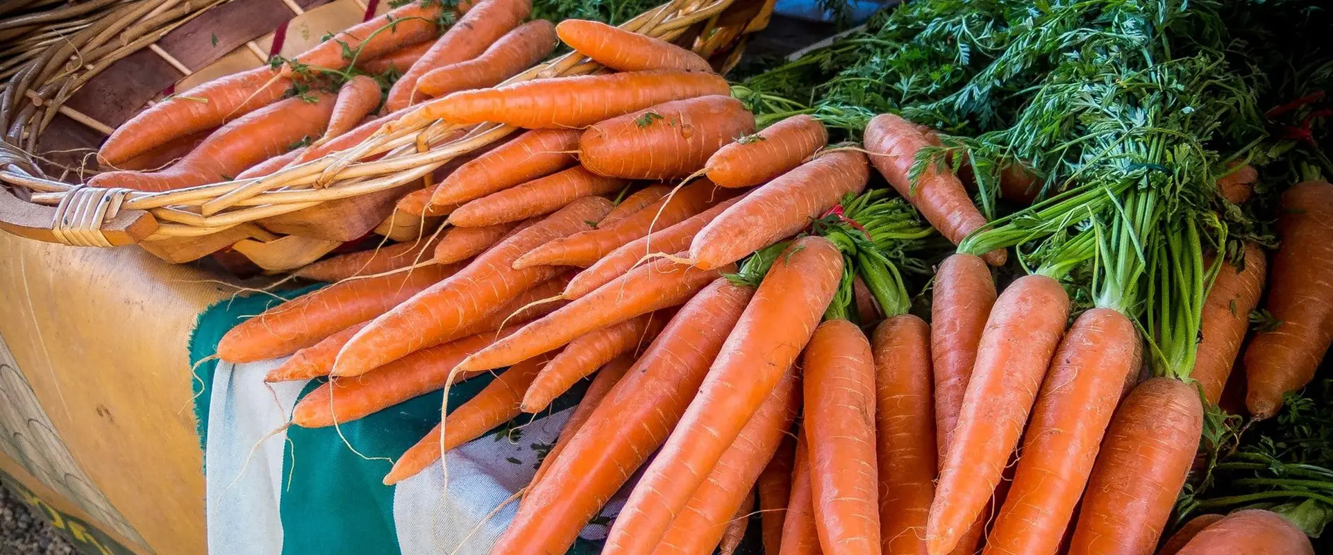 A bunch of carrots are sitting on the table